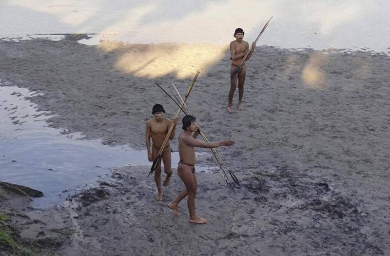 ამაზონში მცხოვრები კორუბოს თემის 80% ავადაა, არსებობს ეპიდემიის გავრცელების საშიშროებაც