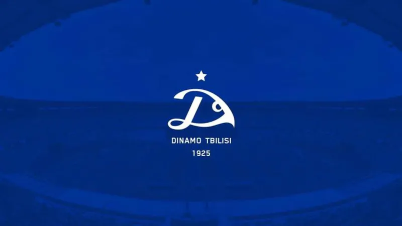 "ევროპული ღირებულებები მტკიცებას არ საჭიროებს" - "დინამო თბილისი" განცხადებას ავრცელებს