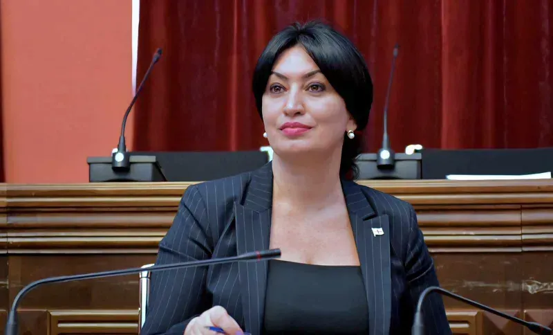 "ბრიფინგს პოლიტიკურად ანგაჟირებული "ნაცმოძრაობის“ მეხოტბე რომ თარგმნის, კი არის მისი ნათარგმნი გადასამოწმებელი" - გრეტა წიწავა