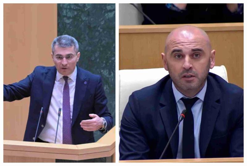 "შენ რასაც გავალებენ, ის მოგწონს... ახლა გავალებენ, რომ სხდომის დროს წამოხტე" - მდინარაძე ხაბეიშვილს