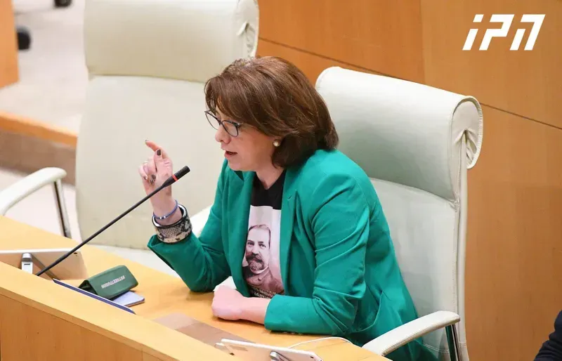 შალვა პაპუაშვილმა შს მინისტრისადმი მიმართვის გამო, სალომე სამადაშვილს პლენარულ სხდომათა დარბაზი დაატოვებინა