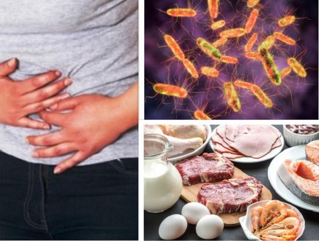 რას წარმოადგენს  სალმონელოზი - საშიში დაავადება, რომელიც ქათმის ფილეში აღმოაჩინეს: როგორია ინფექციის გადაცემის გზები და როგორ დავიცვათ თავი მისგან?