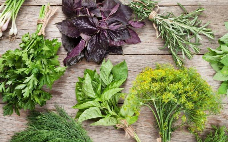 საქართველოში მწვანილის ფასი გაორმაგდა - 1 კილოგრამი 13 ლარი ღირს