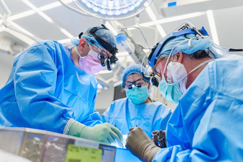 სენსაცია მსოფლიო მედიცინაში: პირველად, ამერიკელ ქალს ღორის თირკმელი გადაუნერგეს - როგორია პაციენტის მდგომარეობა?