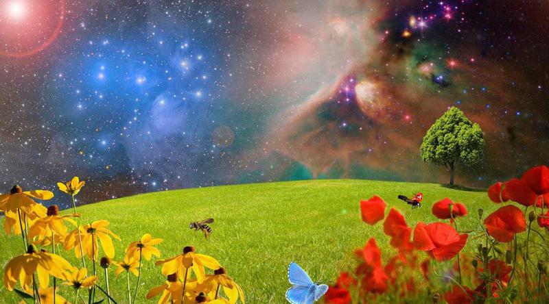 მაისის ასტროლოგიური პროგნოზი ზოდიაქოს ყველა ნიშნისთვის