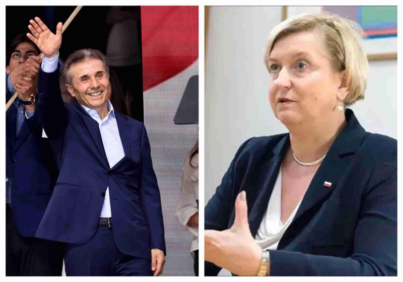 "კრემლის მიერ დასმულმა ოლიგარქმა ყველა კარტი დადო მაგიდაზე -  ის ნათელ მესიჯს აგზავნის" - ანა ფოტიგა ივანიშვილზე