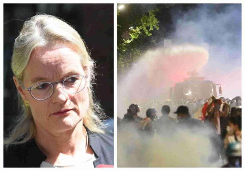 "რუსი "ტიტუშკები" მოქმედებენ" - რას წერს ვიოლა ფონ კრამონი თბილისის აქციაზე განვითარებულ მოვლენებზე?