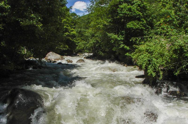 სვანეთში, მდინარე ნაკრაში გადავარდნილი 3 მოზარდიდან ერთ-ერთის ცხედარი იპოვეს