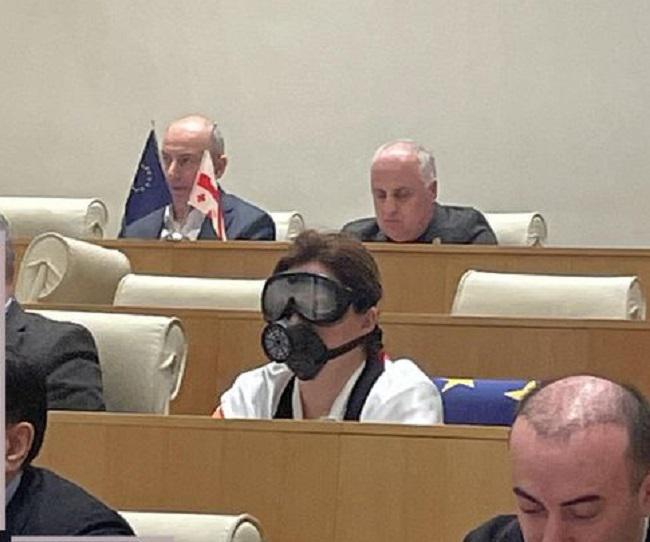 ანა ნაცვლიშვილი პლენარულ სხდომაზე აირწინაღითა და სათვალით მივიდა