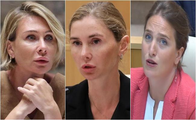 ნინო წილოსანის თქმით, პარლამენტის სხდომაზე თინა ბოკუჩავა მარიამ ლაშხს ფიზიკურად შეეხო