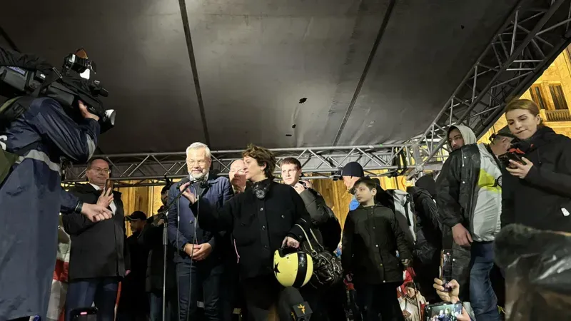 პარლამენტთან აქციაზე ევროკავშირის წევრი ქვეყნების პარლამენტის საგარეო საქმეთა კომიტეტების თავმჯდომარეები მივიდნენ
