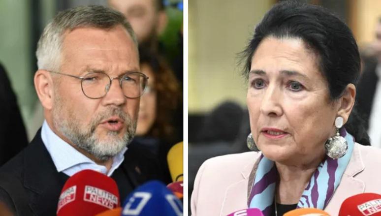 "ევროპის გულში საქართველოს ნათელი მომავლისთვის მებრძოლი მამაცი ქალბატონი" - მაიკლ როთი სალომე ზურაბიშვილზე