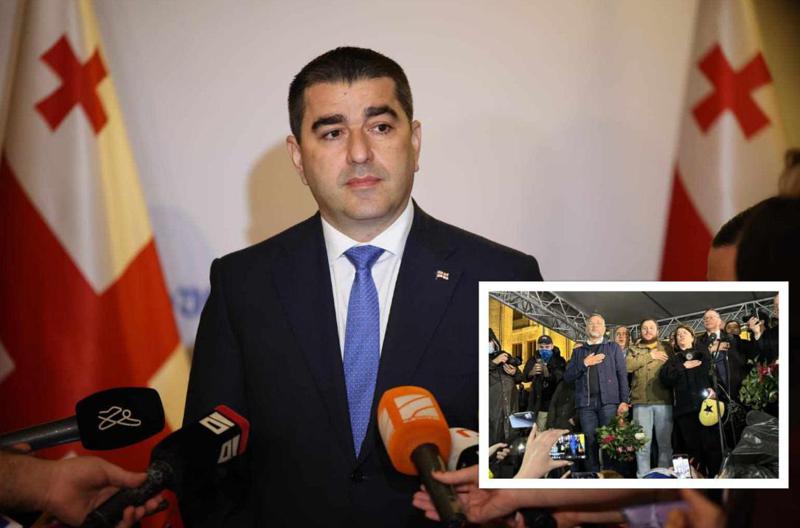 "ასეთ ქარაფშუტა პოლიტიკოსებს შეუძლიათ, სელფის გადაღების გამო გაწირონ საზოგადოება არეულობისთვის" - პაპუაშვილი მაიკლ როთზე