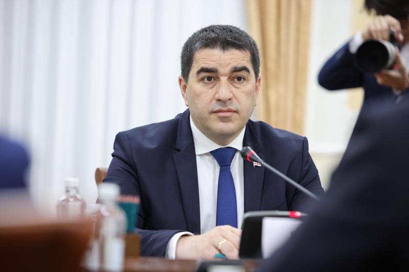 “დამოუკიდებლობა პროცესია, ყოველდღიური ბრძოლა, რომელიც არ მთავრდება“ - შალვა პაპუაშვილი