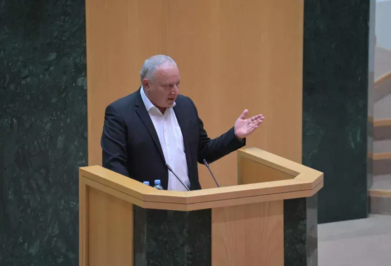 "საქართველოს ეკონომიკა ძალიან კარგ მდგომარეობაშია" - პარლამენტის საფინანსო-საბიუჯეტო კომიტეტის თავმჯდომარე