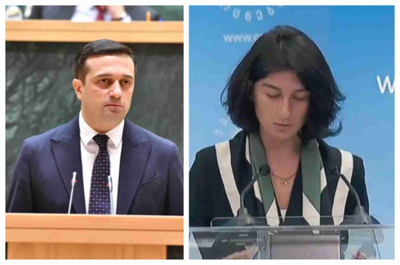 "კატეგორიულად მიუღებელია ადამიანის დამუნათება და ე.წ. დაბულინგება განსხვავებული მოსაზრების გამო" - ომბუდსმენი სალომე ქურასბედიანზე