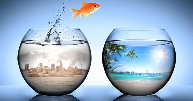 ზოდიაქოს ამ ნიშნებს დიდი ცვლილებები ელით ივნისში