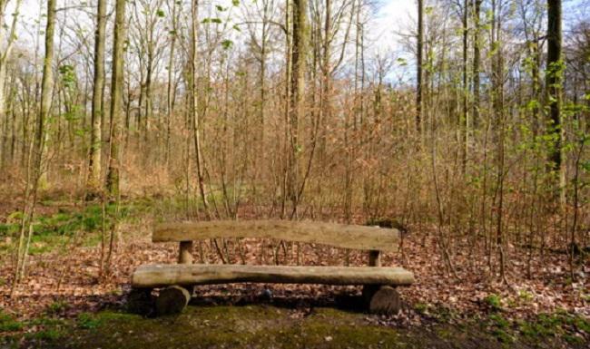 ხმები, რომელიც ქრება: დედამიწას "სასიკვდილო სიჩუმე" ემუქრება? -  "მეშინია, რომ სამყარო, რომელსაც ჩვენს შვილებსა და შვილიშვილებს ვუტოვებთ, სულ სხვანაირი იქნება"