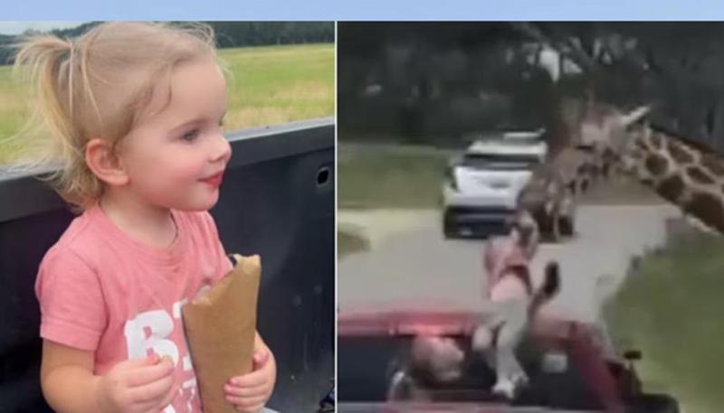"ეს საშინელი მომენტი იყო, წამით თითქოს გული გამიჩერდა" - ჟირაფმა ბავშვი ავტომობილიდან "გაიტაცა": რა მოხდა ტეხასში? (ვიდეო)