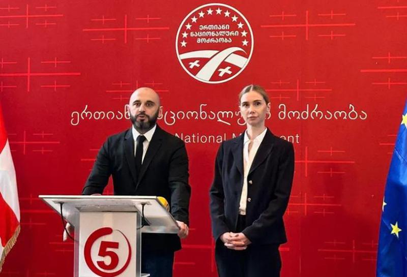 "ხაბეიშვილს არც საჭირო განათლება აქვს და არც ენა იცის" - რა შეიძლება გამხდარიყო "ნაციონალურ მოძრაობაში" ცვლილების მიზეზი?