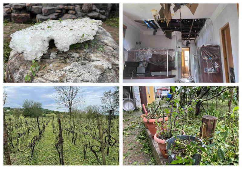 ფოტოები სტიქიის ზონიდან: განადგურებული მოსავალი, დაზიანებული სახლები, დახოცილი შინაური ფრინველი - რას ამბობს იმერეთის გუბერნატორი