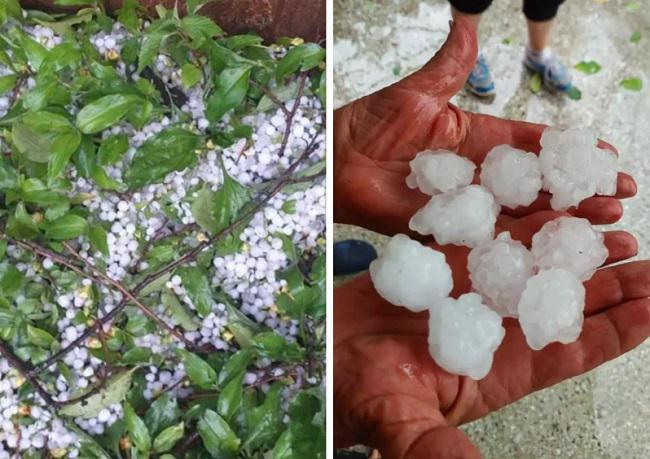 ძლიერი სეტყვა კახეთში - სტიქიამ რამდენიმე სოფელი დააზარალა: განადგურებულია ხეხილი და ვენახები