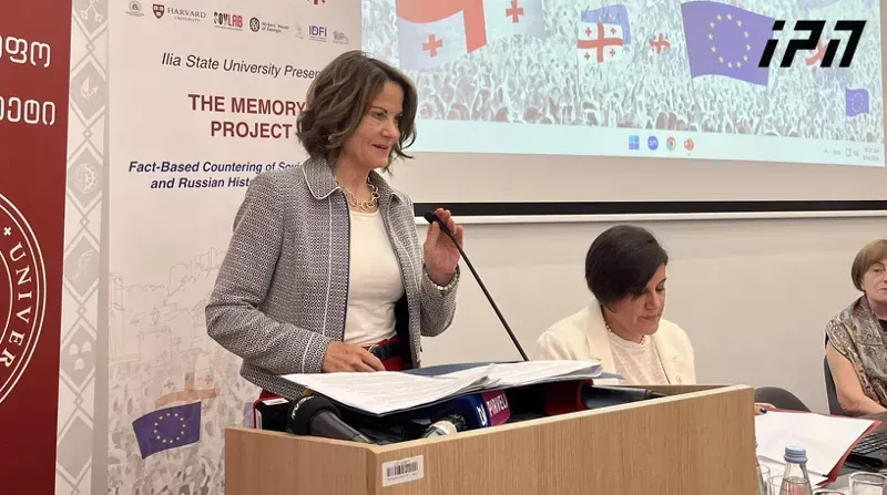 "ვრცელდება დეზინფორმაცია აშშ-საქართველოს ურთიერთობის შესახებ, თითქოს ჩვენ ვართ "გლობალური ომის პარტია" და რევოლუციის წახალისებას ვცდილობთ" - აშშ-ის ელჩი