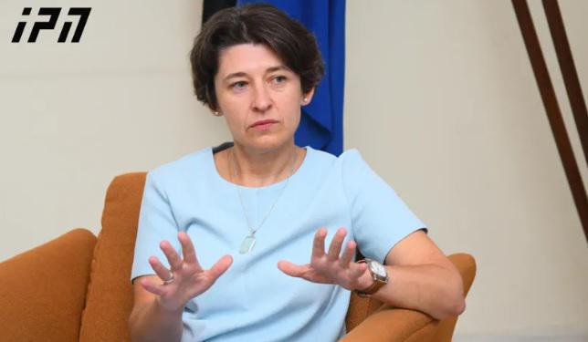"საქართველო შესაძლოა, ძალიან დიდხანს დარჩეს ევროკავშირის მოსაცდელ ოთახში" - ესტონეთის ელჩი