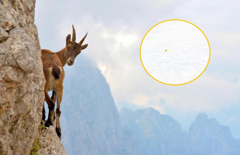 რას მოგვიტანს ვარდისფერი სავსემთვარეობა და რას უნდა მივაქციოთ ყურადღება