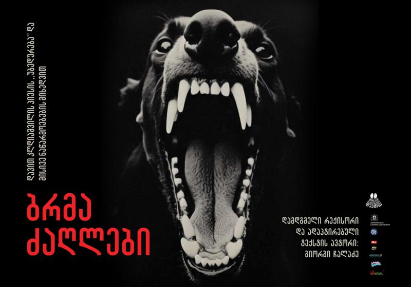 5, 6, 7 ივლისს  მოზარდმაყურებელთა თეატრი სპექტაკლ "ბრმა ძაღლების" პრემიერას წარმოგიდგენთ