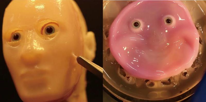 მეცნიერებმა ცოცხალი კანი შექმნეს, რომელიც თვითაღდგენადია - "ამ აღმოჩენით ადამიანის მსგავსი კიბორგების შექმნა გაადვილდება"