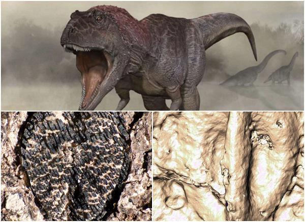 თანამედროვე ყურძენი დინოზავრების დაღუპვის შედეგად წარმოიშვა - ახალი კვლევის შედეგები