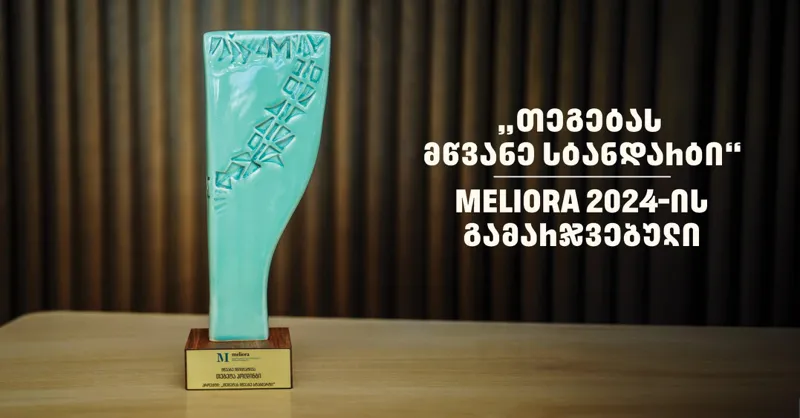 "თეგეტას მწვანე სტანდარტი" – "თეგეტა ჰოლდინგი" Meliora 2024-ის გამარჯვებულია