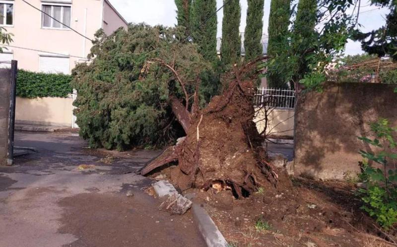 წაქცეული ხეები, დაზიანებული სახურავები - რა ხდებოდა თბილისში ძლიერი წვიმისა და ქარის გამო და რა განცხადებას ავრცელებს მერია