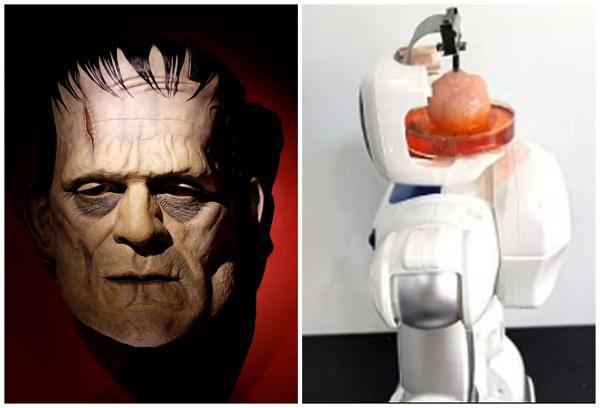 “ფრანკენშტაინი“ რეალობად იქცა - ჩინელმა მეცნიერებმა შექმნეს რობოტი, რომელსაც ადამიანის ტვინი მართავს