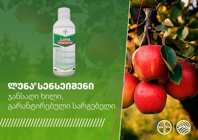 ლუნა სენსეიშენი – ჯანსაღი ხილი, გარანტირებული სარგებელი