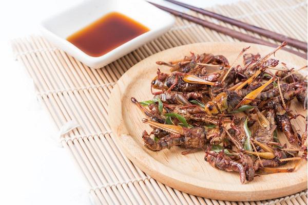 სინგაპურმა მწერები ოფიციალურ საკვებად დაამტკიცა - როგორია ბრძანების დეტალები