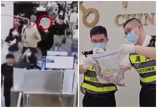 დააკავეს მამაკაცი, რომელიც შარვალში დამალული 100 გველის გადატანას ჩინეთში მალულად ცდილობდა (ვიდეო)