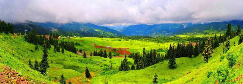 მთავრობა მაღალმთიანი დასახლებების ნაწილისთვის Starlink-ის ინტერნეტის შეძენას განიხილავს