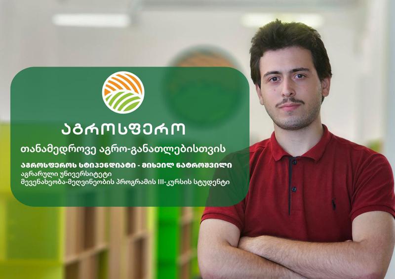 "ჩემი თავი კერძო სექტორში წარმომიდგენია, საკუთარი ვენახითა და მეღვინეობით" – "აგროსფეროს" სტიპენდიატი