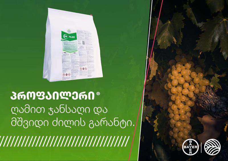 პროფაილერი – ვაზის ჭრაქისგან დაცვის ეფექტური საშუალება