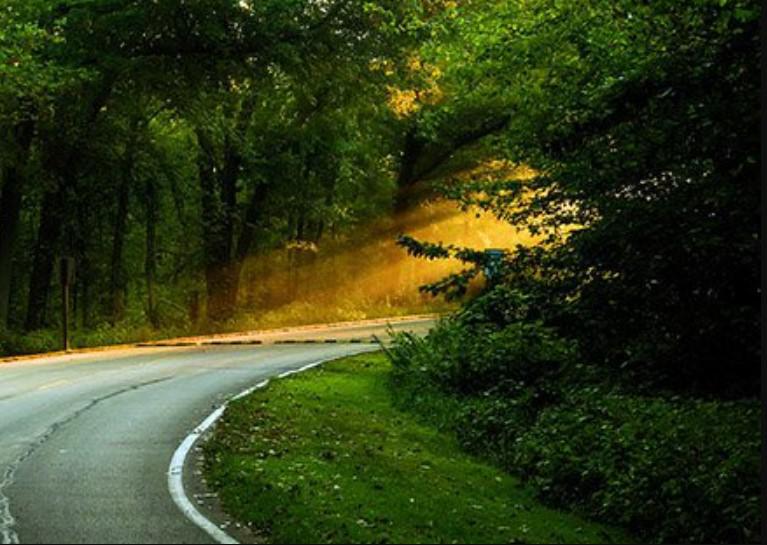 ფსიქოლოგიური ტესტი - მოახერხებთ თუ არა თქვენი მიზნების ბოლომდე განხორციელებას