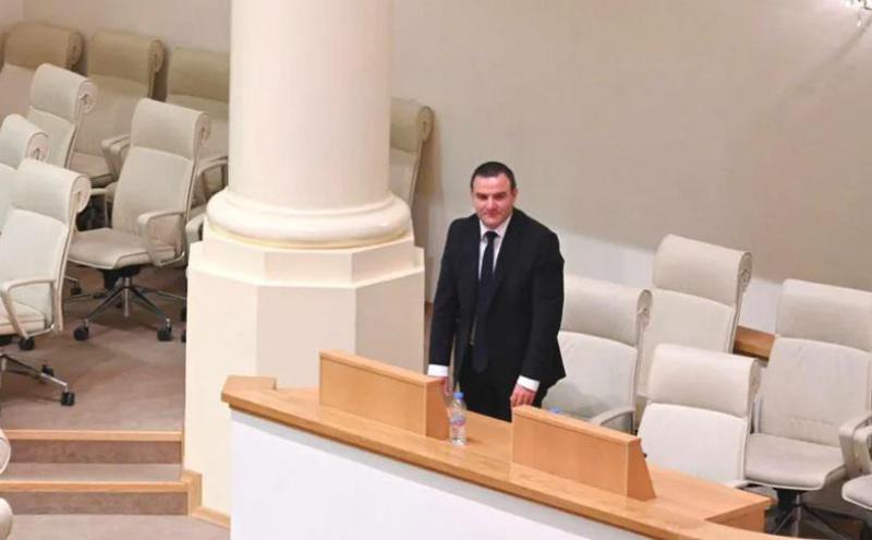 საქართველოს ახალი გენერალური პროკურორი ჰყავს - რა ქონებას ფლობს გიორგი გაბიტაშვილი?