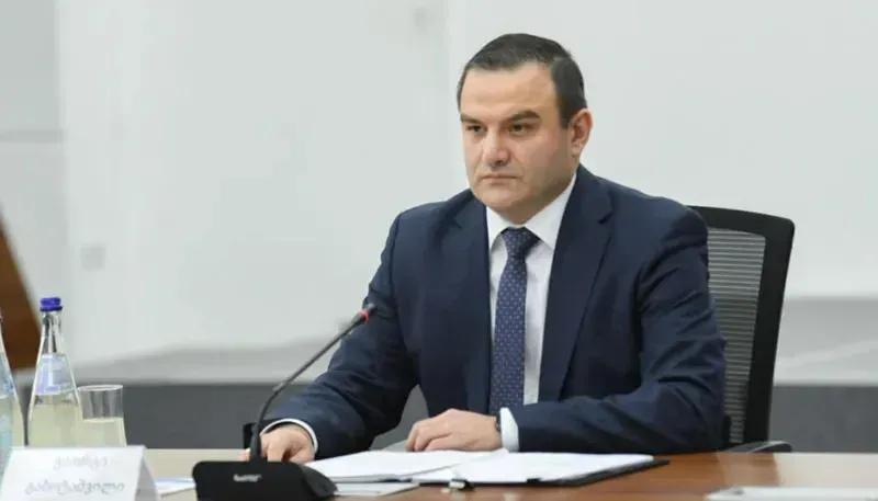 იურიდიულ საკითხთა კომიტეტმა გენერალური პროკურორის პოსტზე გიორგი გაბიტაშვილის არჩევას მხარი დაუჭირა