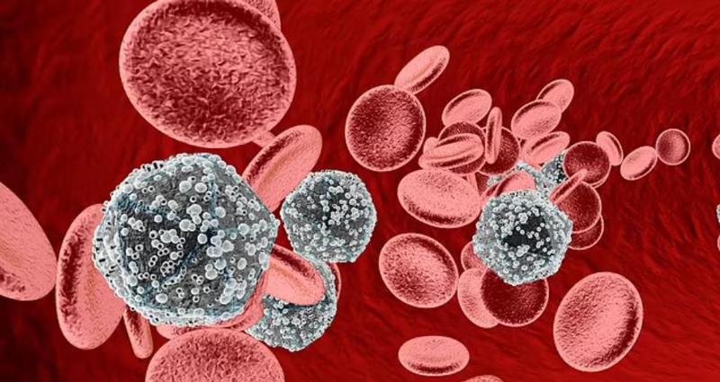 მსოფლიოში მე-7 პაციენტი გამოცხადდა შიდსისგან განკურნებულად -  რით არის ეს შემთხვევა საინტერესო და შეიძლება ითქვას, რომ მედიცინამ აივ-ის წამალს მიაგნო?