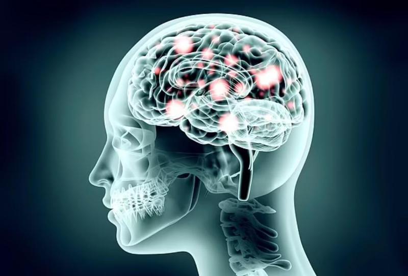 სამხრეთ კორეაში გონების დისტანციურად კონტროლის მოწყობილობა შექმნეს - მეცნიერებს აფრთხილებენ: ადამიანებზე მისი გამოცდა ნაჩქარევად არ დაიწყონ