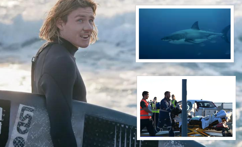 "სერფერის ფეხი წყალმა გამორიყა" - 23 წლის ბიჭს 3 მეტრიანი ზვიგენი თავს დაესხა: უმძიმესი შემთხვევა ავსტრალიაში