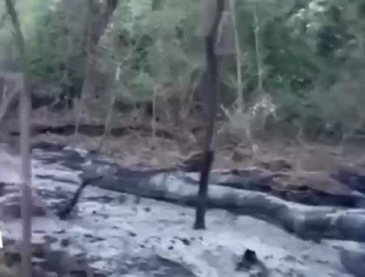 რუსული დრონები რუმინეთის ტერიტორიაზე - რას აცხადებს ქვეყნის საგარეო საქმეთა მინისტრი?