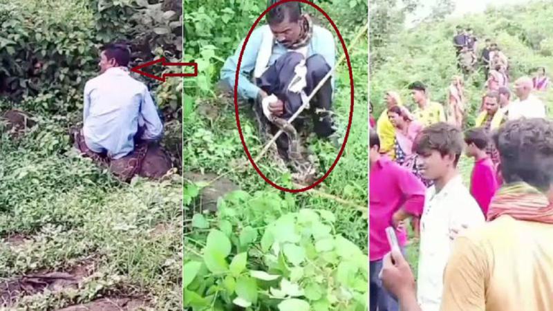 მამაკაცს 4-მეტრიანი პითონი თავს დაესხა და მისი დახრჩობა სცადა - როგორ გადაურჩა სიკვდილს ინდოელი?