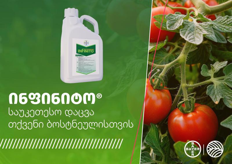 ინფინიტო - ინოვაციური ფუნგიციდი თქვენი ჯანსაღი მოსავლისთვის